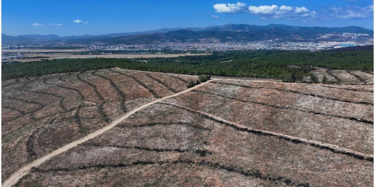 İzmir'de Orman Yangınlarında Zarar Gören Alanlar Yeni Fidanlar İçin Hazırlanıyor