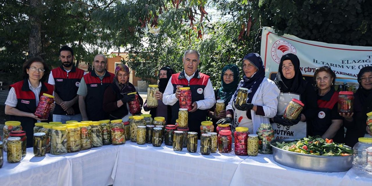 Kadın Çiftçiler Devlet Desteğiyle Ürettikleri Sebzeyi Turşuya Dönüştürerek Gelir Elde Ediyor