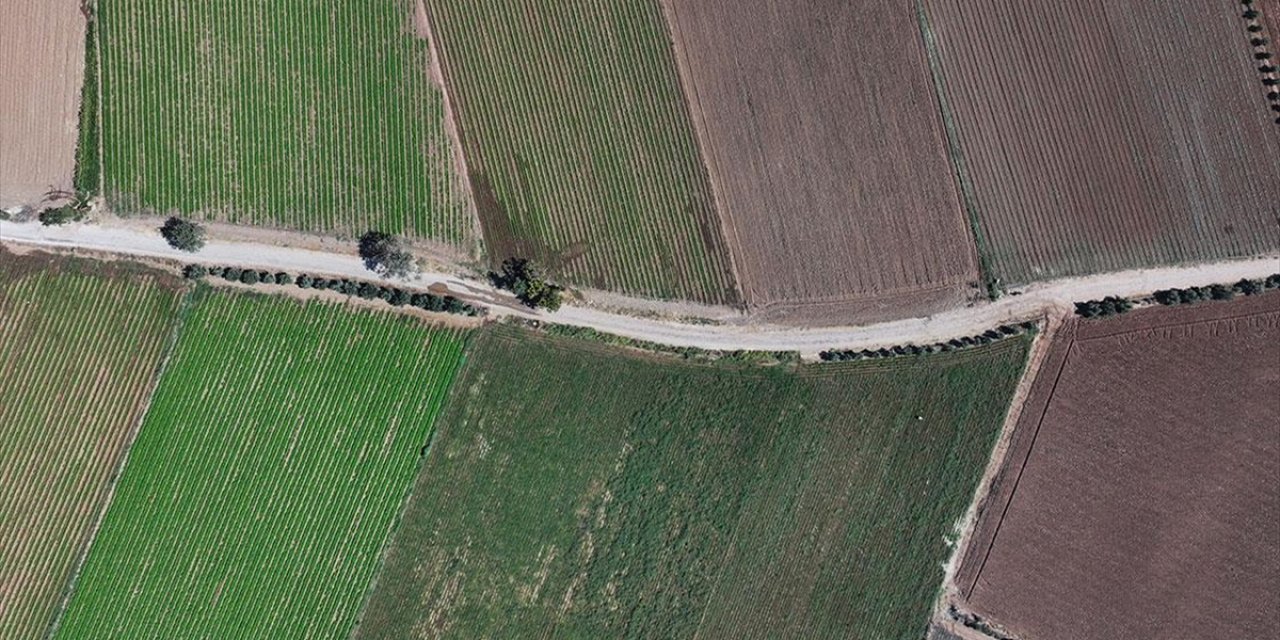 Kışlık Sebze Üssü İzmir, Üretim Gücünü Yerli Çeşitlerle Artıracak