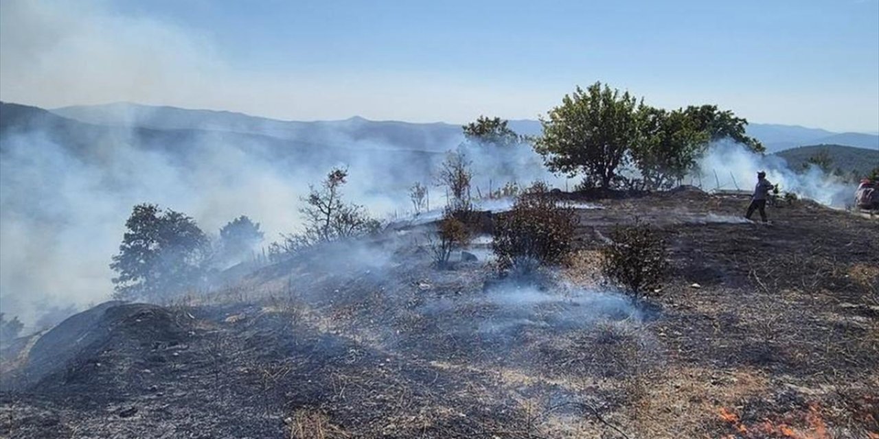 Bursa'da Ormanlık Alanda Çıkan Yangına Müdahale Ediliyor