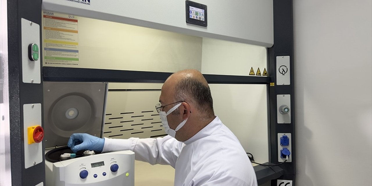 Polen Analizleri Uzun Yıllar Sonra Bile Faili Meçhul Cinayetlerin Aydınlatılmasını Sağlayabiliyor