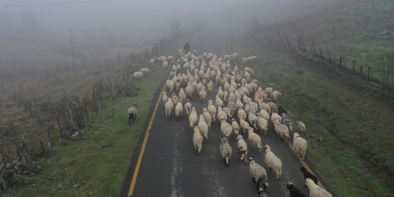 Sisler Altındaki Karadeniz Yaylalarından Dönüş Yolculuğu Başladı