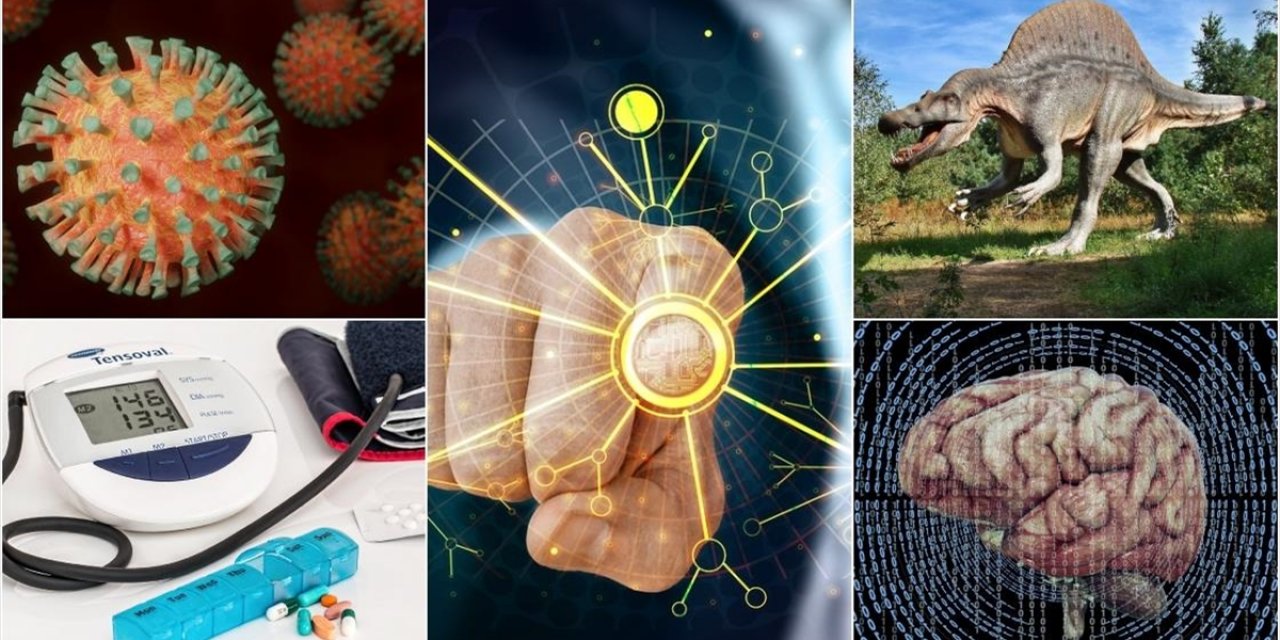 Mars'ta Yaşama İşaret Eden İzlerden Hastalıkları Öngören Yapay Zeka Modeline Eylüldeki Bilimsel Gelişmeler