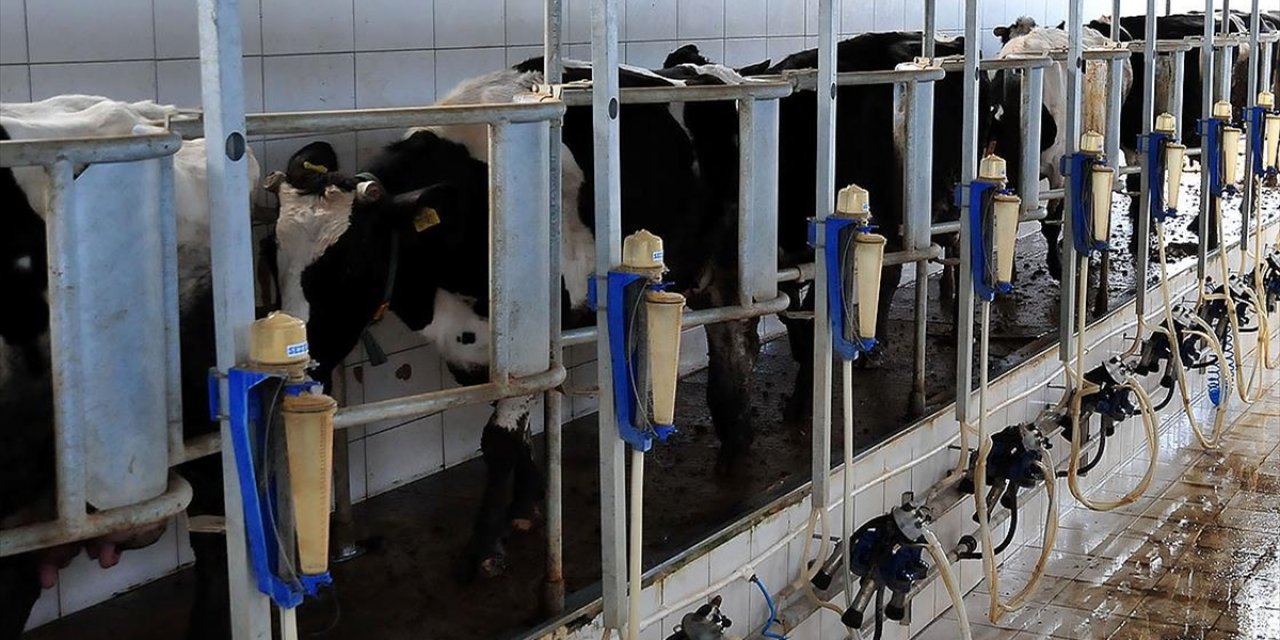 Rekabet Kurumundan Süt Sektöründe Faaliyet Gösteren Sanayicilere Uyarı