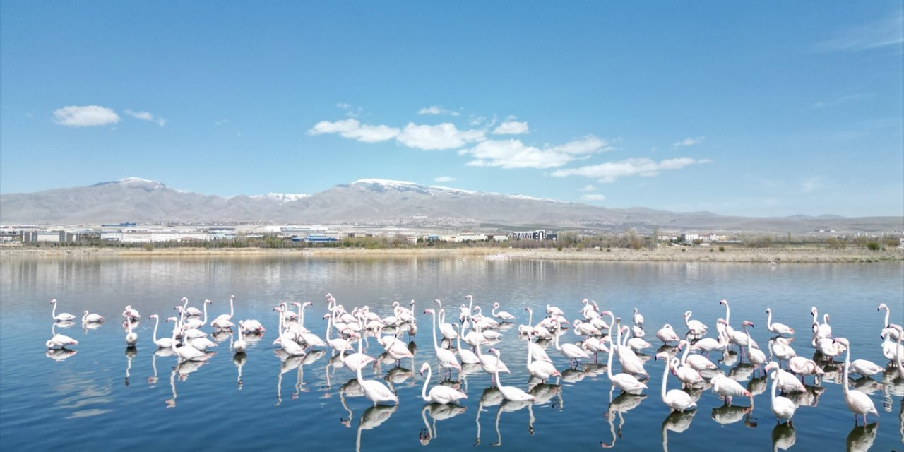 Niğde'deki Barajların Doluluk Oranı Kuraklık Nedeniyle Düştü