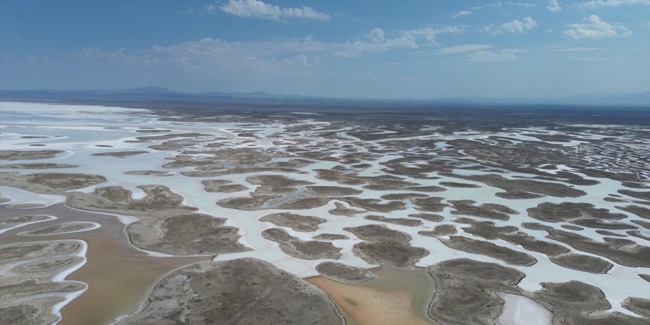 Tuz Gölü'nde Yaşanan Kuraklık Biyolojik Çeşitliliği de Etkiliyor