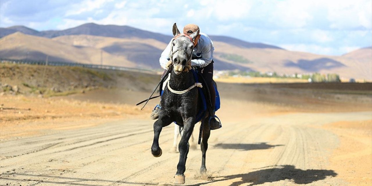 Bingöl'de Ata Sporunu Yaşatan Gençler Atlarını Yarışlara Hazırlıyor