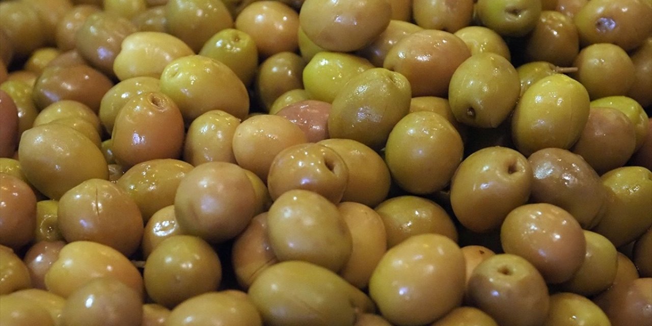 Sofralık Zeytin İhracatında Rekor Kırıldı