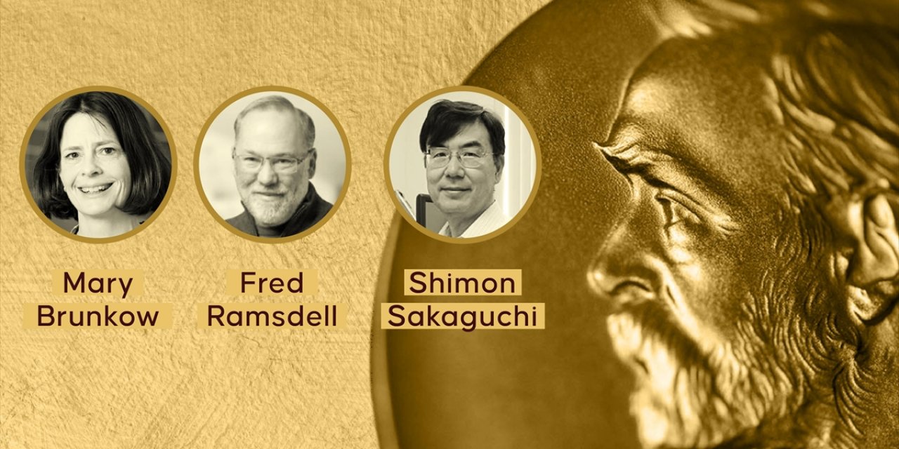 2025 Nobel Tıp Ödülü'nü "Periferik Bağışıklık Toleransı" Keşfiyle Brunkow, Ramsdell ve Sakaguchi Kazandı