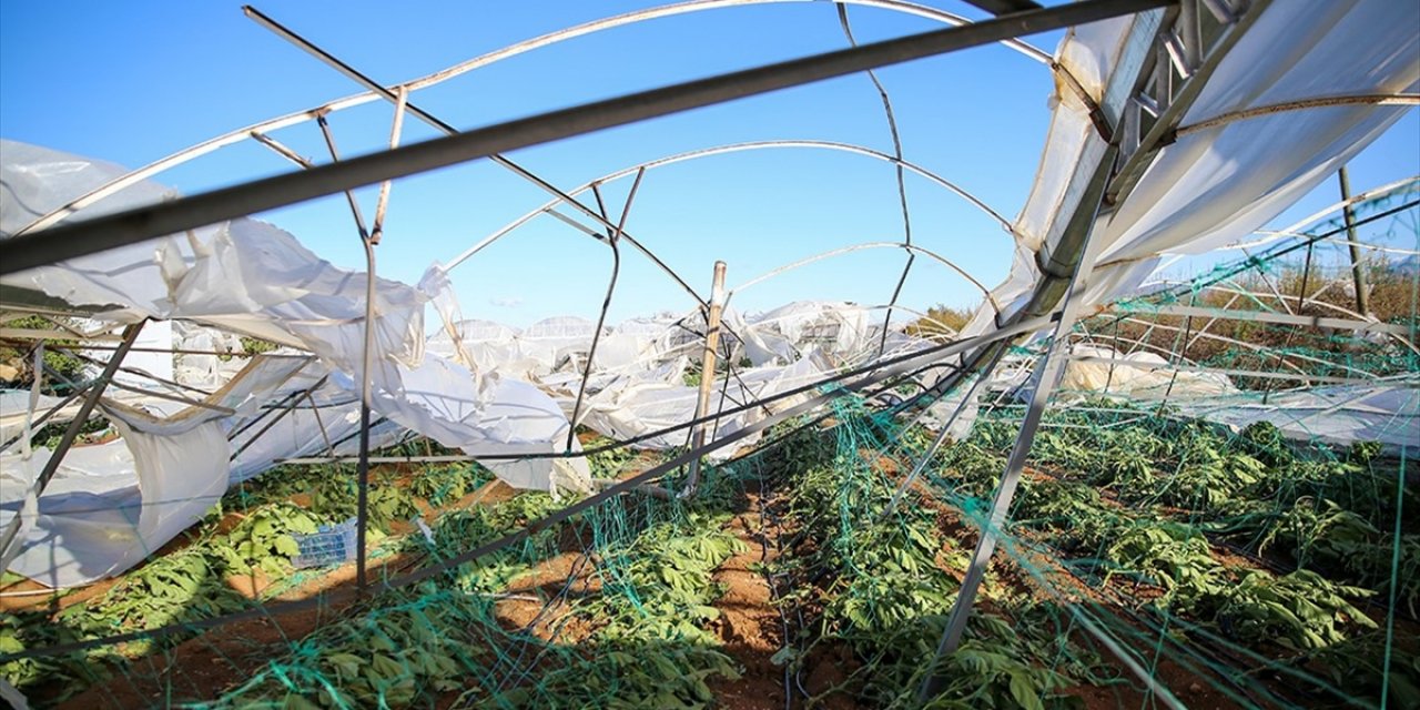 Tarım Sigortaları Kapsamında Eylülde Üreticilere 3,15 Milyar Lira Hasar Tazminatı Ödendi