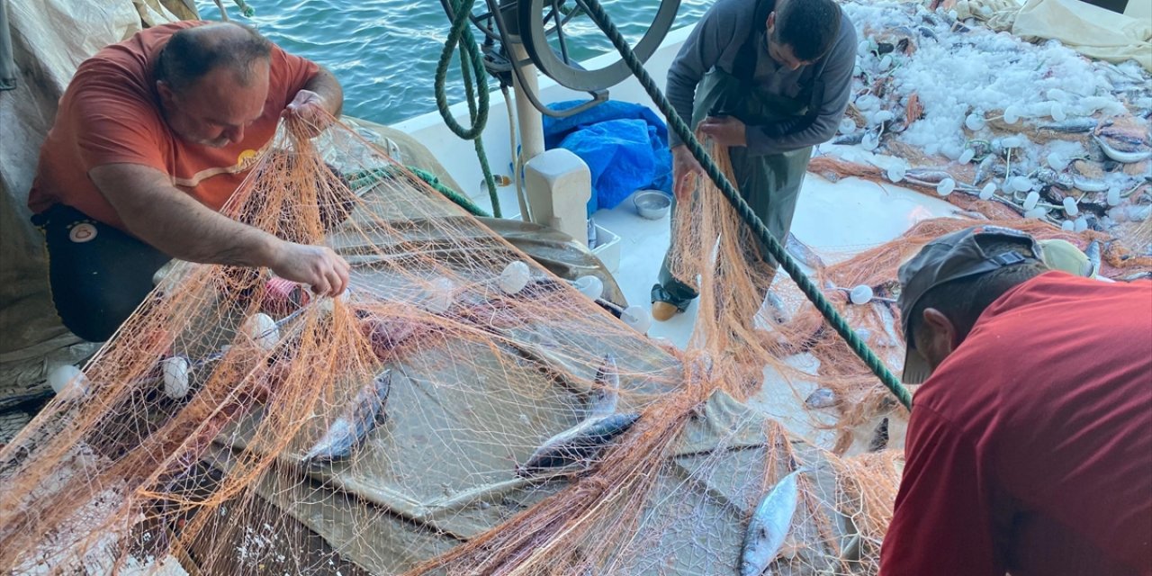 Sinop'ta Bir Balıkçının Ağına 3 Bin Palamut Takıldı
