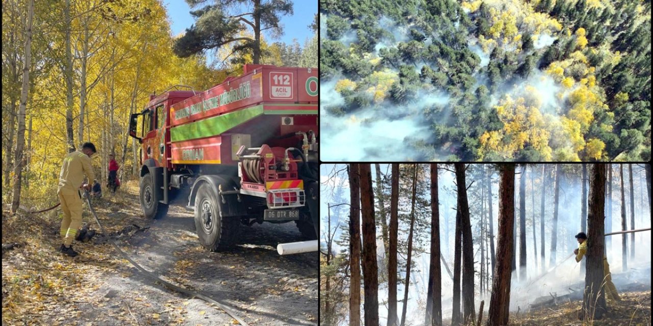 Sarıkamış'ta Çıkan Orman Yangınında Yaklaşık 1,5 Hektar Alan Zarar Gördü