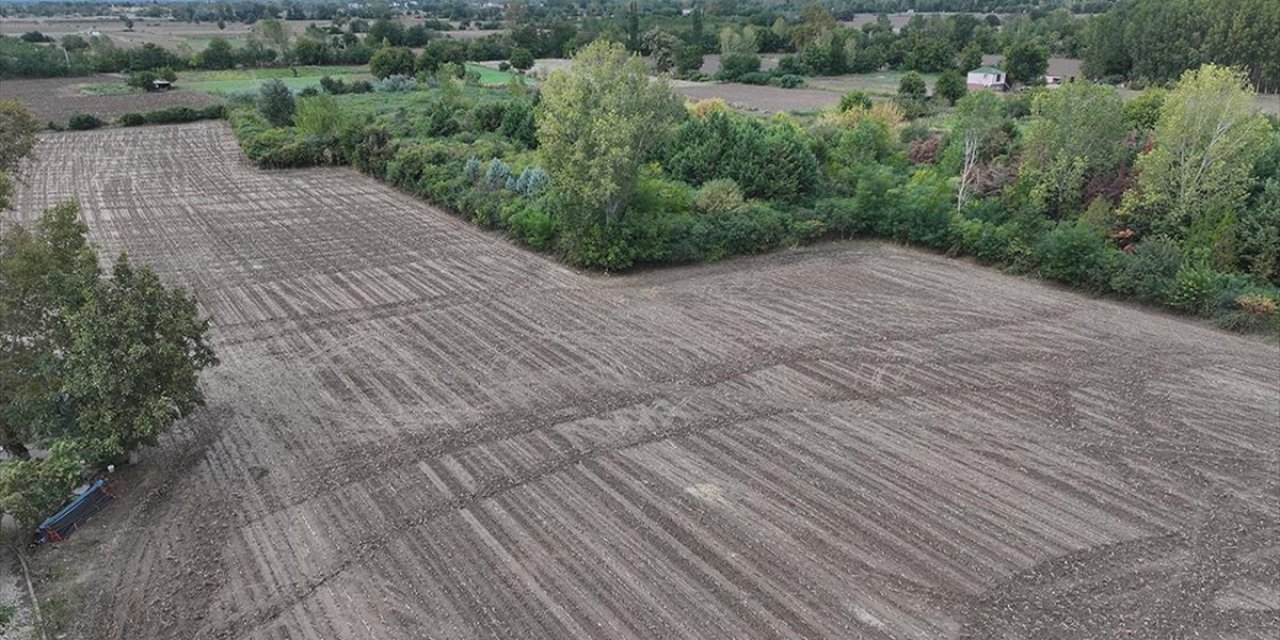 Geçen Yıl Kuru Toprağa Ekim Yapan Trakya Çiftçisi Son Yağışlarla Moral Buldu