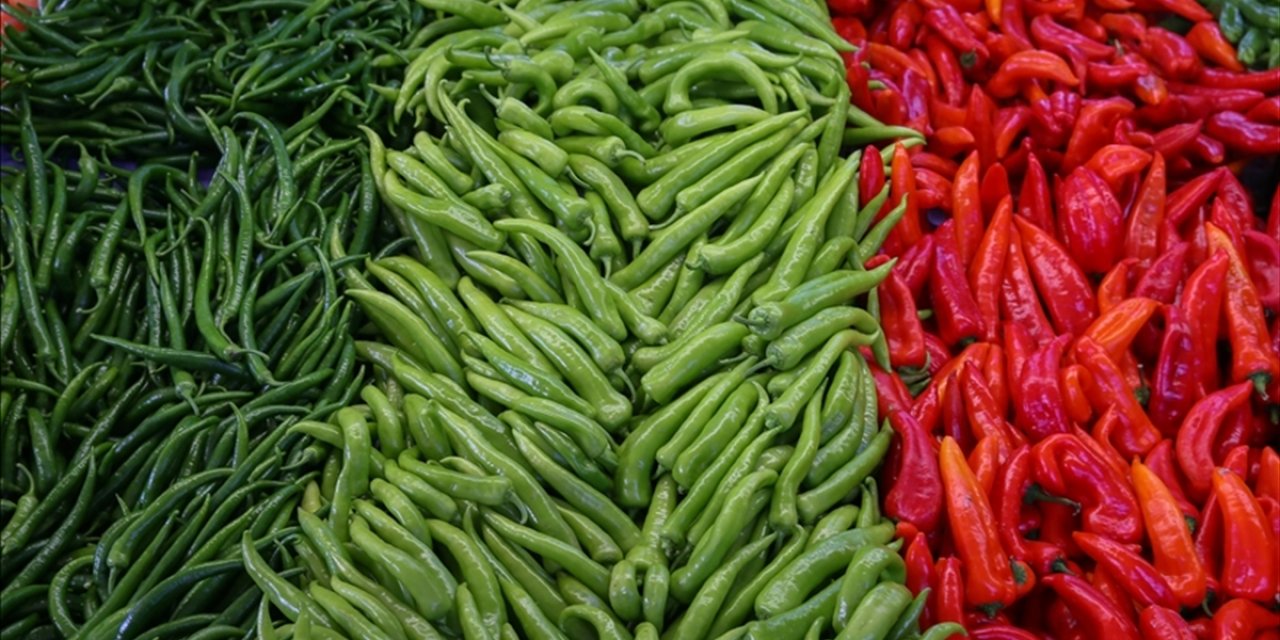 Türkiye'nin Biber İhracatının Yüzde 71'i Batı Akdeniz'den
