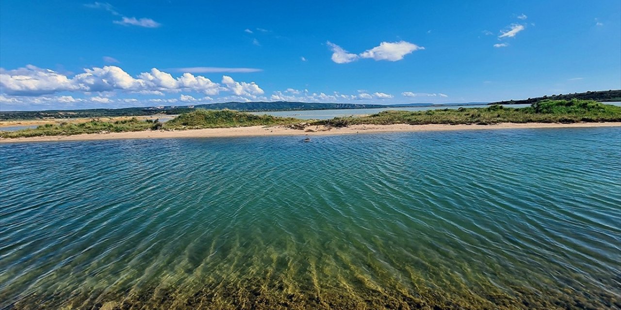 Türkiye'de 5 Yer "Mahalli Sulak Alan" Kapsamına Alındı