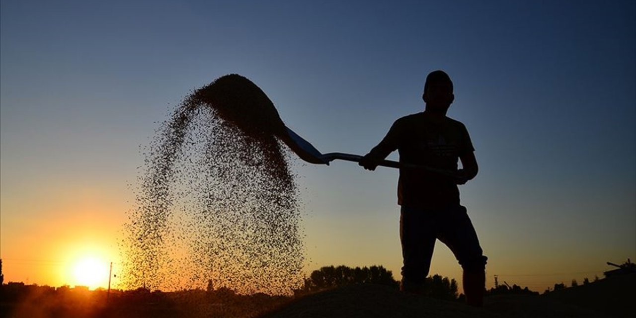 Çiftçilere 320,6 Milyon Lira Destekleme Ödemesi Bugün Yapılacak