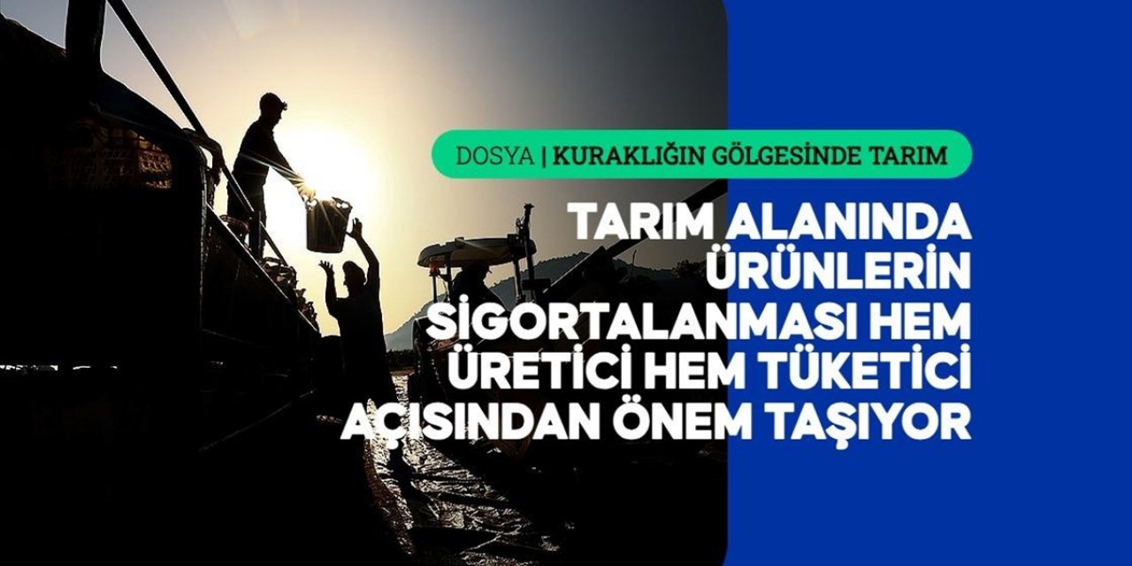 Çiftçilere Bu Yıl Yaklaşık 2,5 Milyar Lira Kuraklık Tazminatı Ödemesi Yapıldı