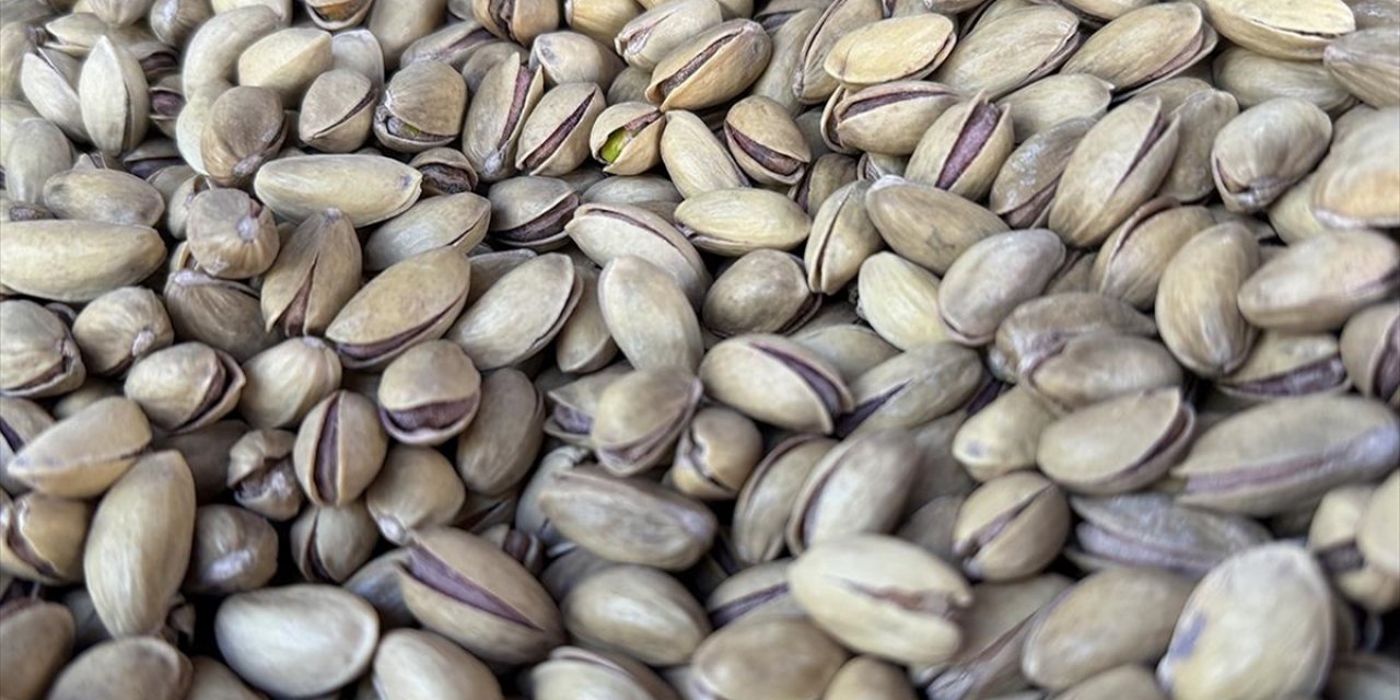 Türkiye'nin 9 Aylık Fıstık İhracatı 152 Milyon 622 Bin Dolar Oldu