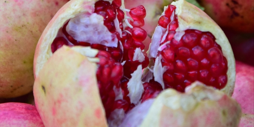 'Deve Dişi Nar' Üreticisinin Yüzünü Güldürdü