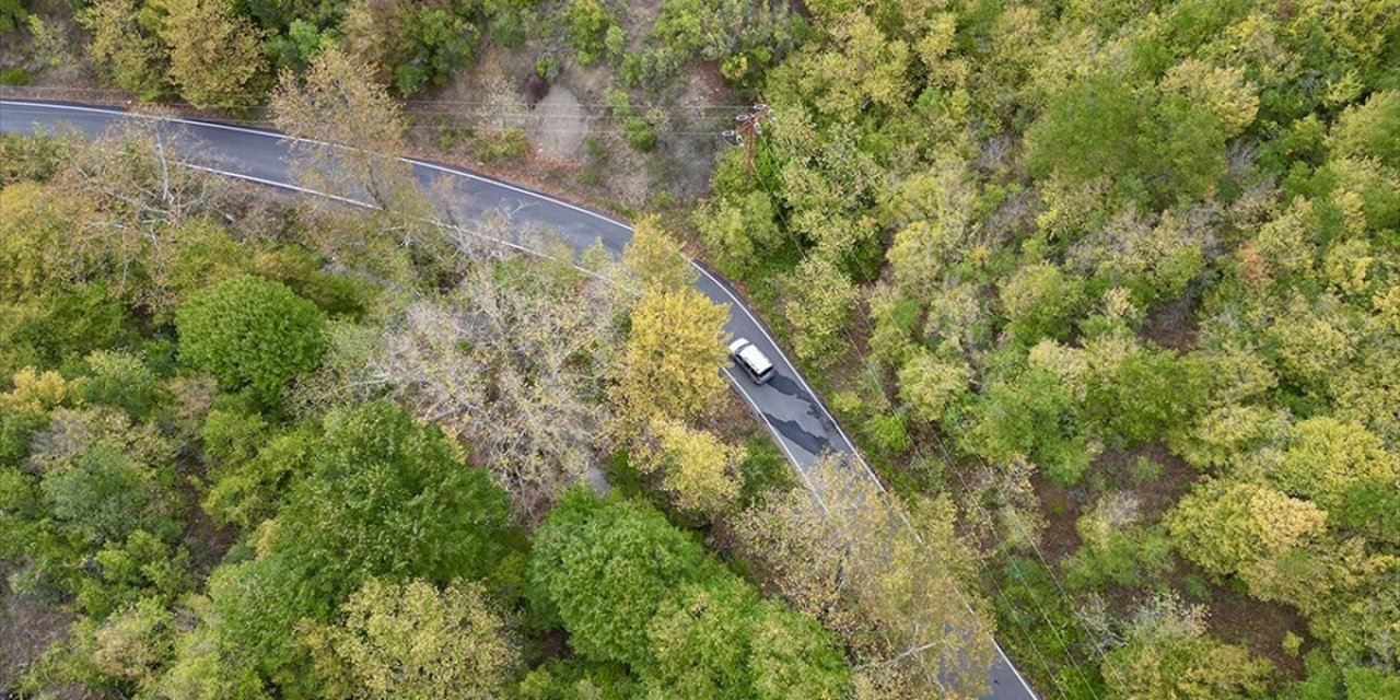 Ganos Dağı Eteklerindeki Ormanlar Sonbahar Renklerine Bürünmeye Başladı
