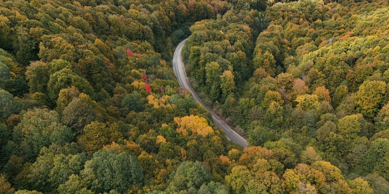 Istranca Ormanları Sonbahar Renklerine Büründü
