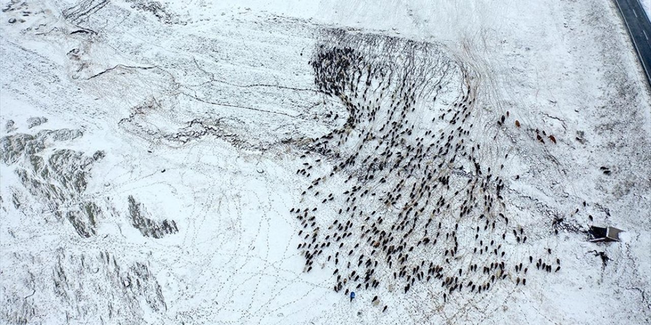 Kars'ta Yayladan Dönen Göçerler Karla Karşılaştı