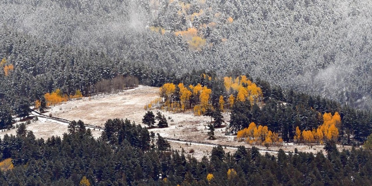 Kar ve Sonbahar Renklerinin Bütünleştiği Sarıkamış'ta Güzel Manzaralar Oluştu