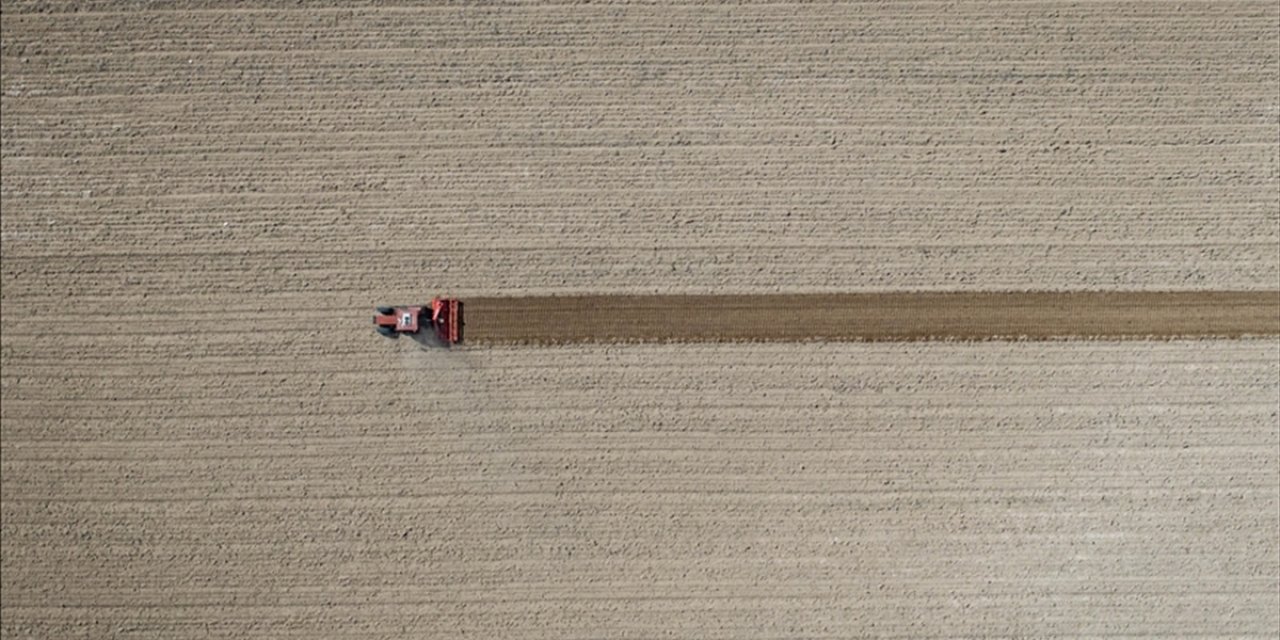 Tarım Üfe Eylülde Aylık Bazda Yüzde 5,8 Arttı