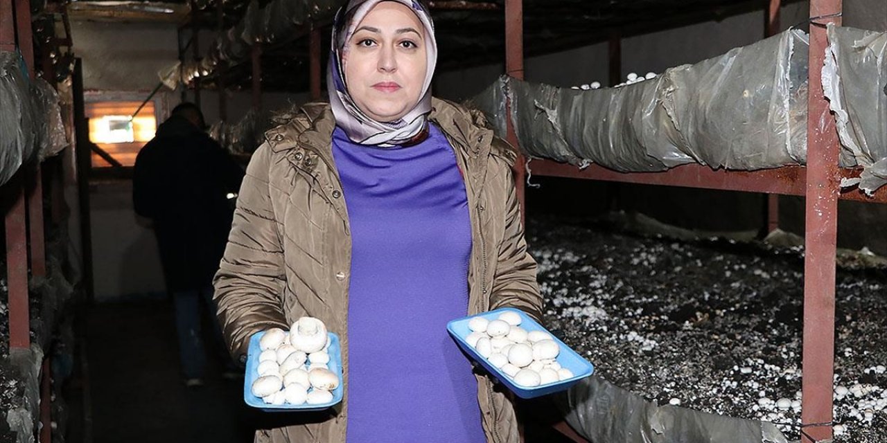 Kadın Girişimci Devlet Desteğiyle Kurduğu Tesiste 75 Ton Mantar Üretiyor
