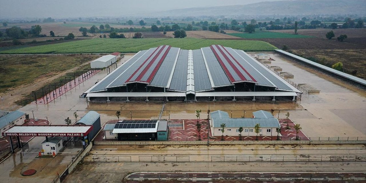 Çatılara Kurdukları Güneş Panelleriyle Belediyenin Elektrik İhtiyacını Karşılıyorlar