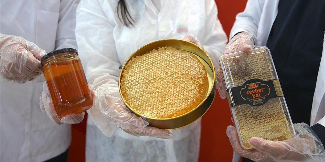 Devlet Desteğiyle Bal Tesisi Kurdu, 20 Kişiye İş İmkanı Sağladı