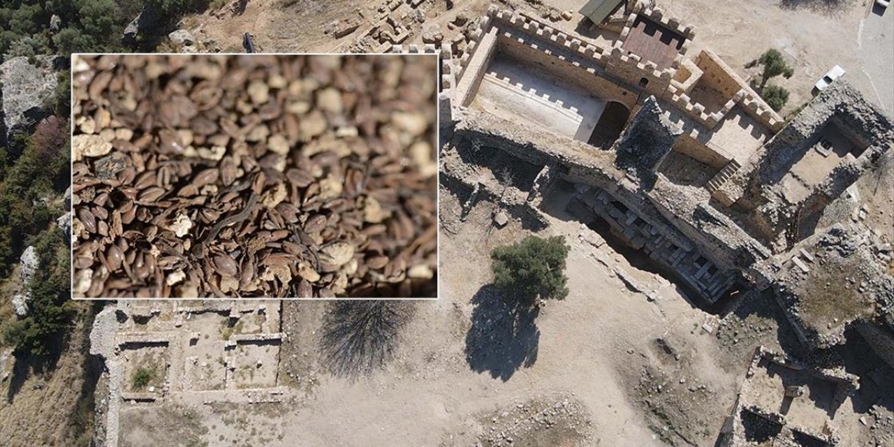 Beçin Antik Kenti'ndeki Kazılarda 700 Yıllık Olduğu Değerlendirilen Darı Tohumları Bulundu