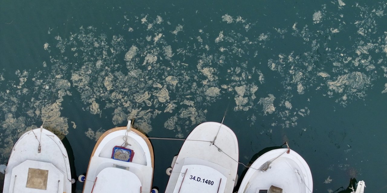 Balıkçılar, Müsilajdan Etkilenen Yerlere Yönelik Yaklaşık 40 Milyon Liralık İlave Desteğe Odaklandı