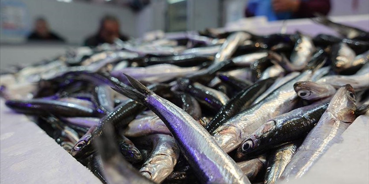 Hamsi Yılın 9 Ayında 19 Ülkede Alıcı Buldu