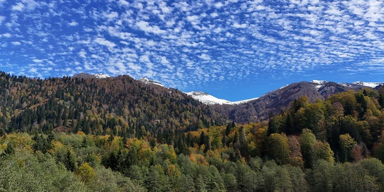 Artvin'deki Borçka Karagöl Tabiat Parkı Sonbahar Renklerine Büründü