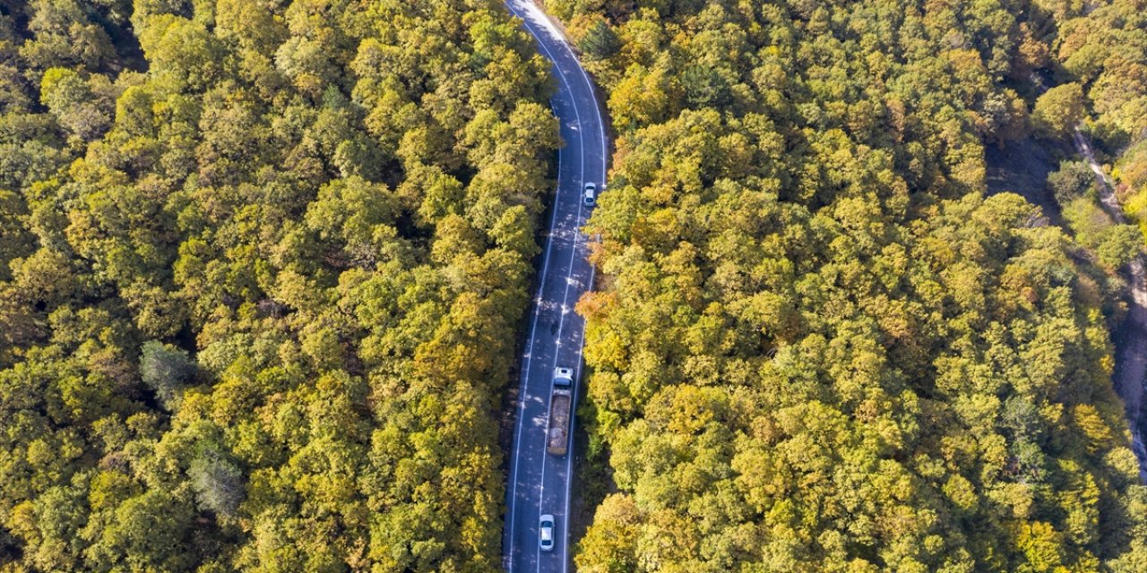 Bolu'da Ormanlık Alanlar Sonbahar Renklerine Büründü