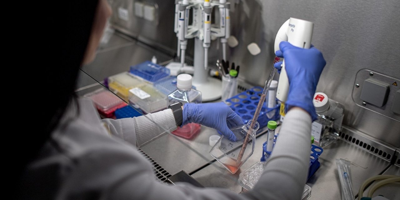 Türkiye'de Geçen Yıl 651,8 Milyar Liralık Ar-Ge Harcaması Yapıldı