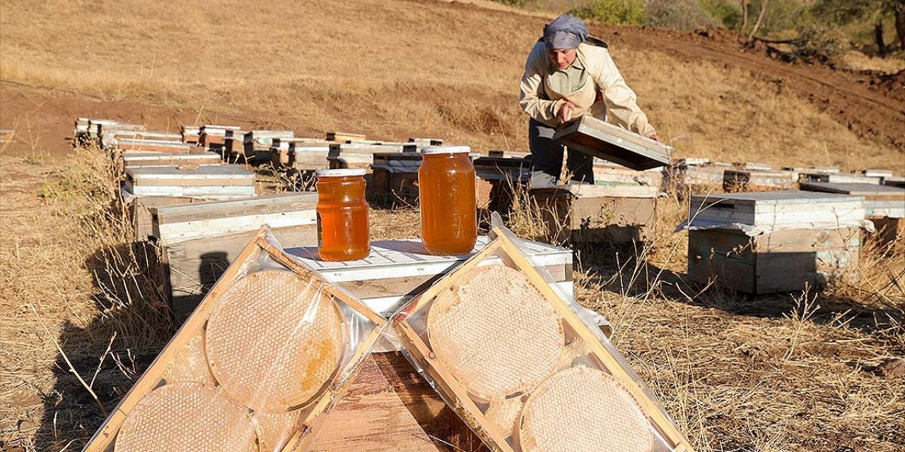Üretim İçin Şehirden Köyüne Dönerek Arıcılığa Başladı