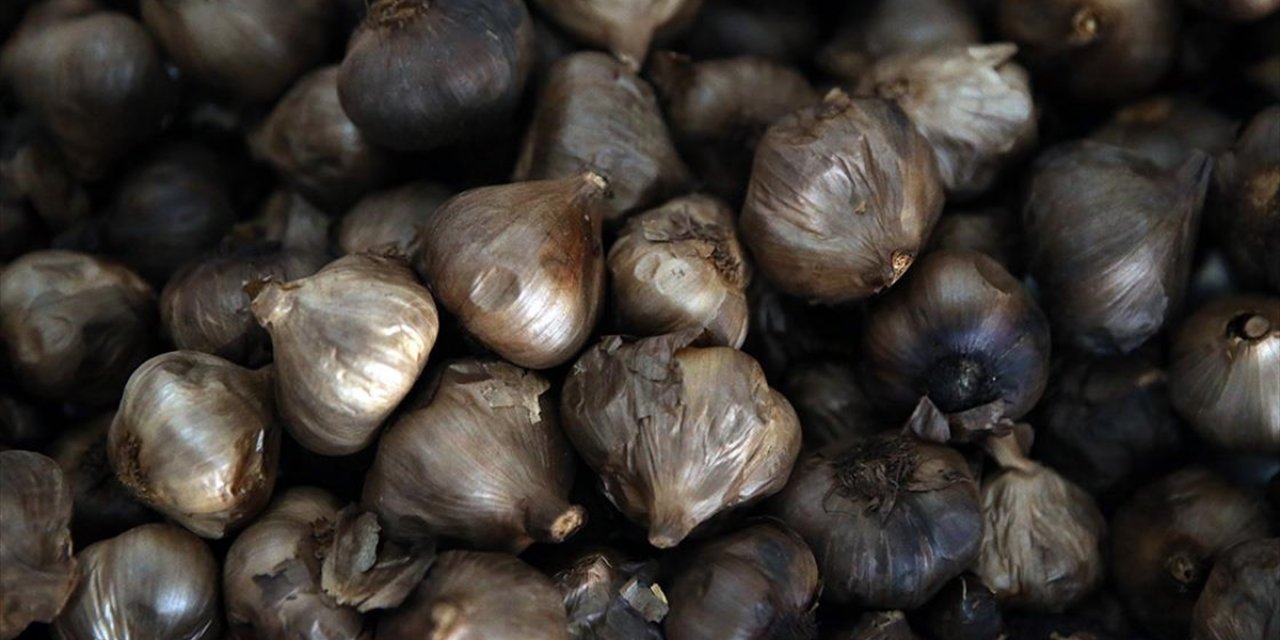 Coğrafi İşaretli Taşköprü Sarımsağından Üretilen Siyah Sarımsak 6 Ülkeye İhraç Ediliyor