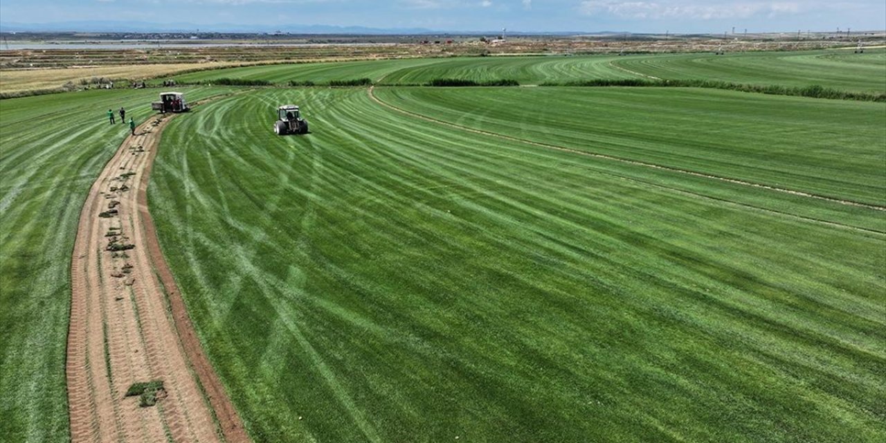 Edirne’de Köyden Kente Göçü Tersine Çeviren Tesis Üretim ve İhracatta Büyüdü