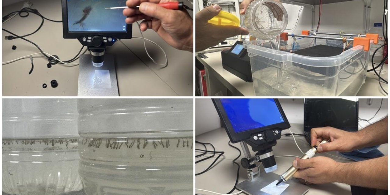 Türk Bilim İnsanı Sivrisinekle Mücadelede Ekolojik Dengeye Zarar Vermeyen Cihaz Geliştirdi