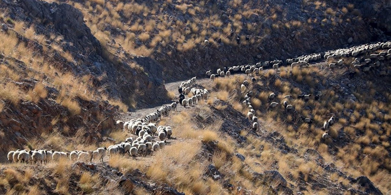 Bitlis'te Göçerler Havanın Soğumasıyla Dönüş Yolculuğuna Başladı