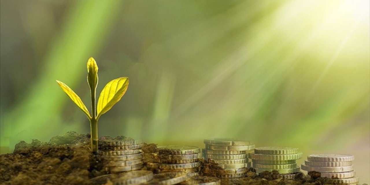 Türkiye'de Bankaların İklim Hedeflerine Yönelik Adımları Sınırlı Kaldı