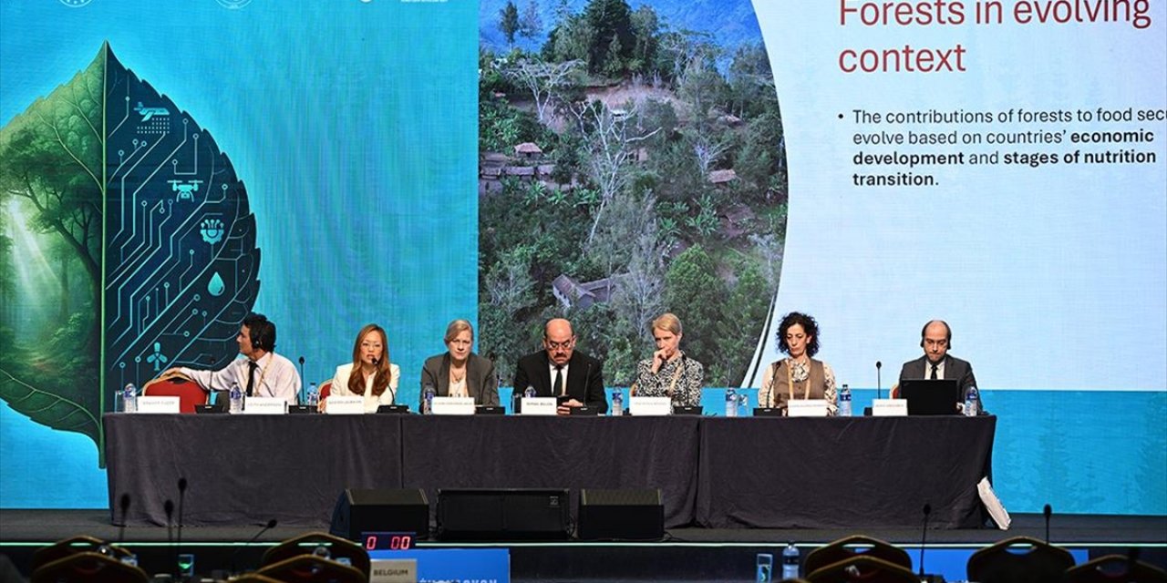 İstanbul Orman İnovasyon Haftası'nda Ormanların Gıda Açısından Önemi Ele Alındı