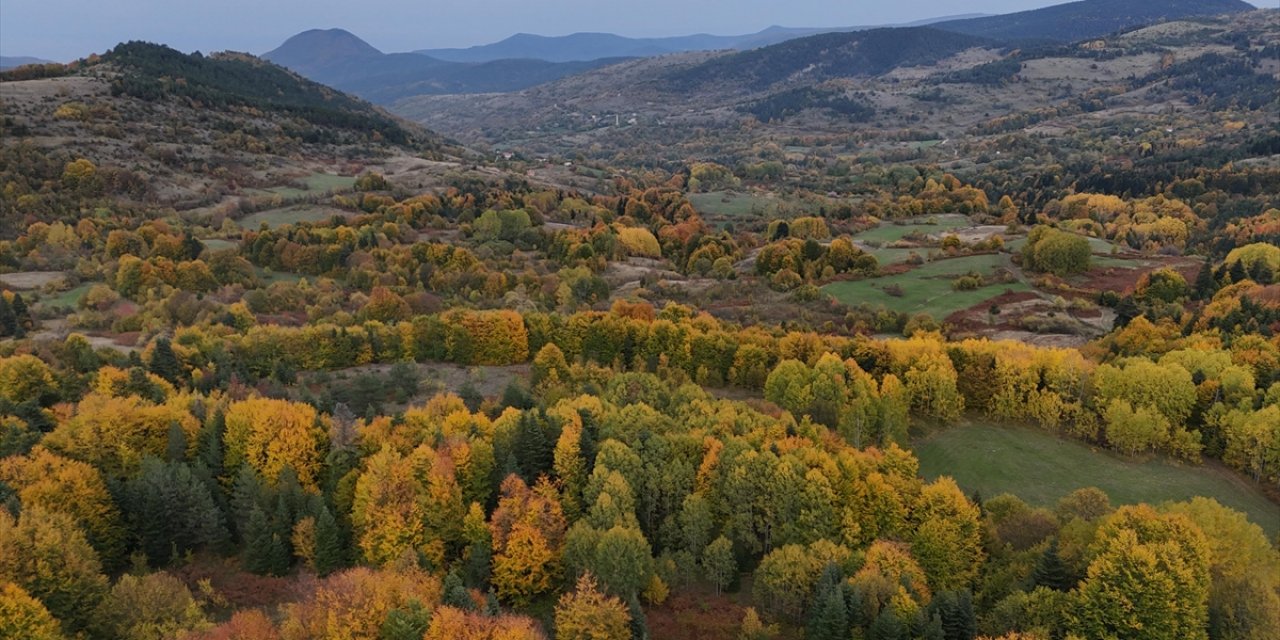 Sinop'ta Sonbahar Renkleri Hakim Oldu