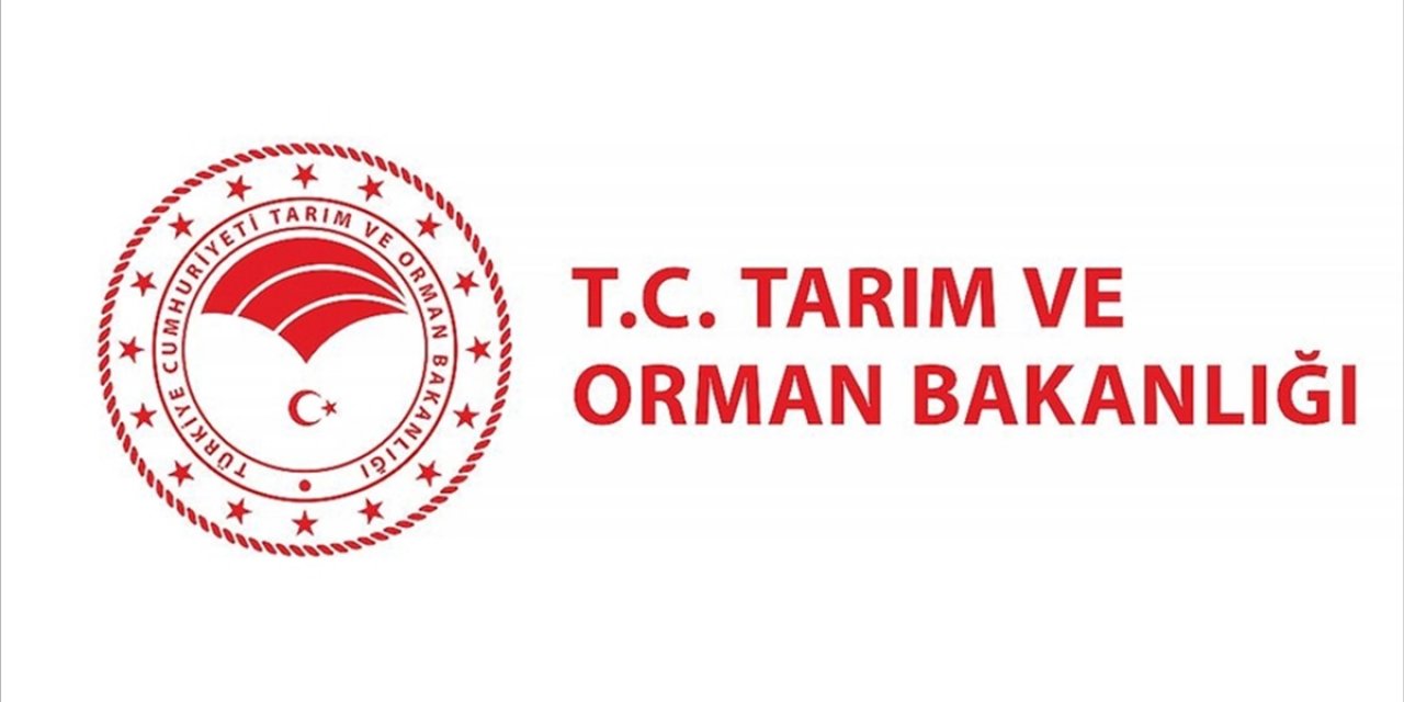 Tarım ve Orman Bakanlığı 15 Müfettiş Yardımcısı Alacak
