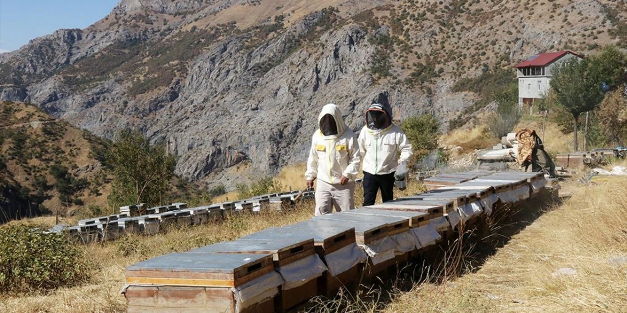 Ailesiyle Yalnız Yaşadığı Köyde Yılda 2,5 Ton Bal Üretiyor