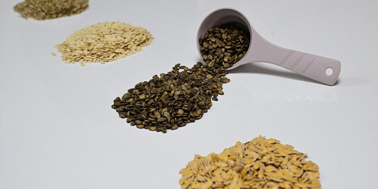 Güneydoğu'dan Afrika'ya Hububat İhracatı Yüzde 18,9 Arttı