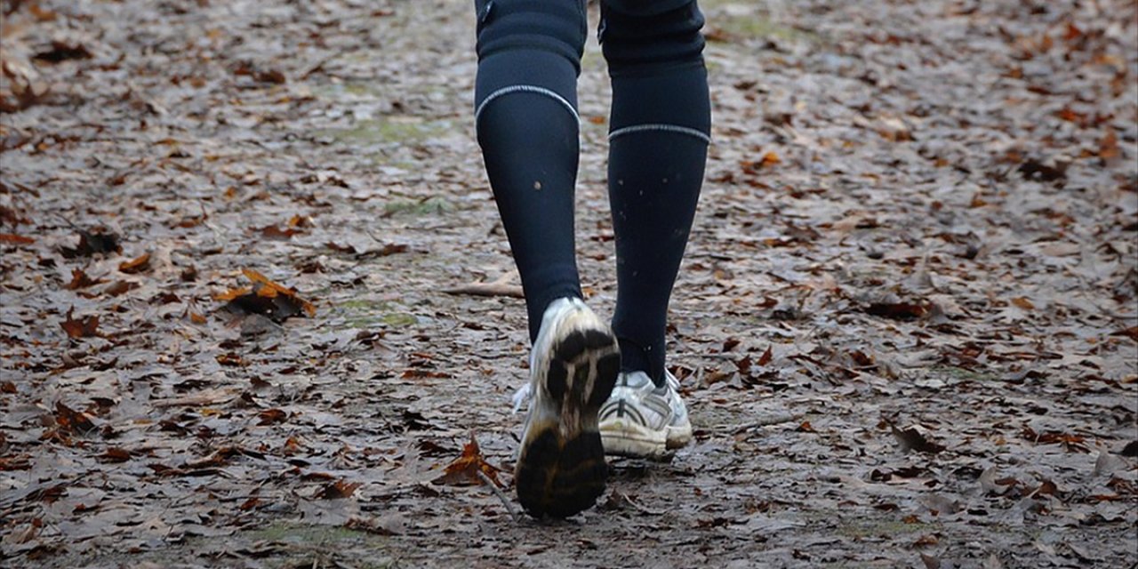 Araştırmaya Göre, Günlük Adım Sayısına Uzun Yürüyüşle Ulaşmak Daha Sağlıklı Olabilir