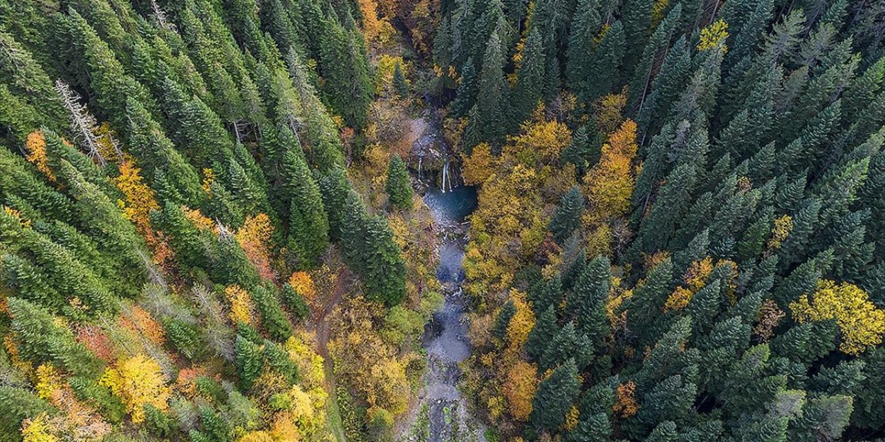 Azdavay'ın Saklı Güzelliği "Saray Şelalesi"nde Sonbahar Tüm Renkleriyle Yaşanıyor